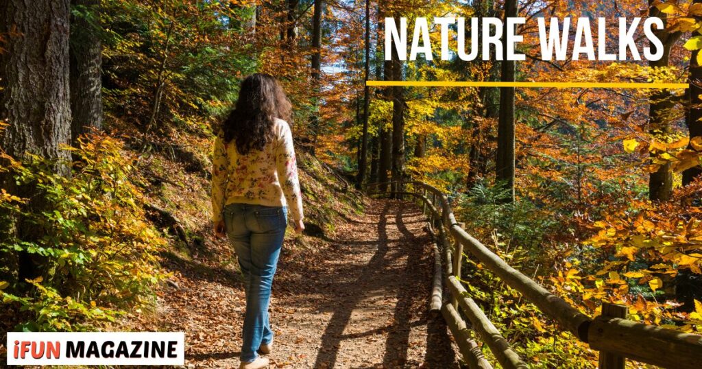 Top 14 Outdoor Adventure Fitness Ideas: Nature Walks