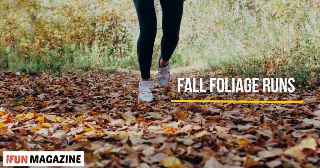 Fall Foliage Runs